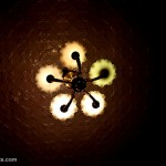 Glyngarth Villa Heritage Resort-Ooty India
