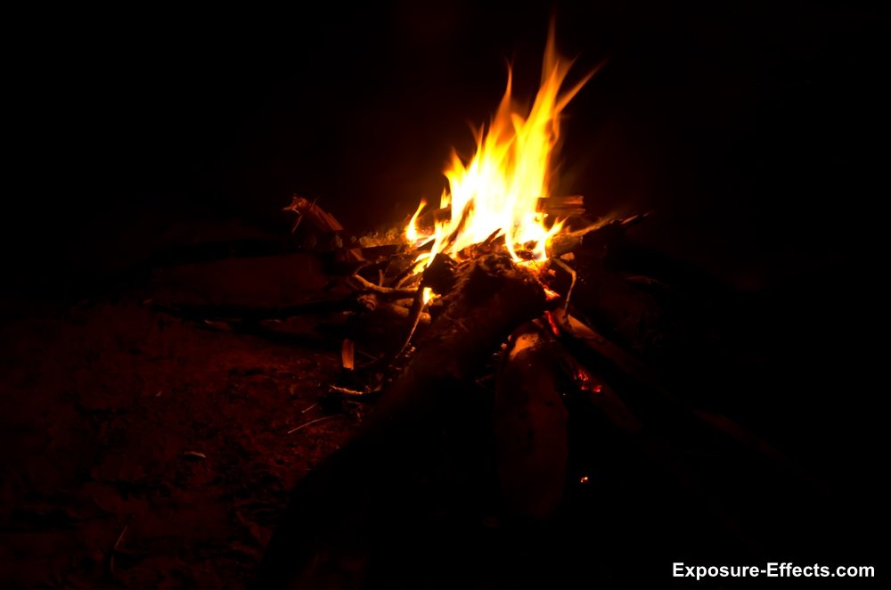 Bannerghatta bangalore jungle lodges and resorts-20-campfire