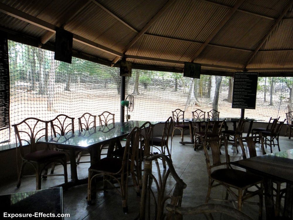 Bannerghatta bangalore jungle lodges and resorts-9