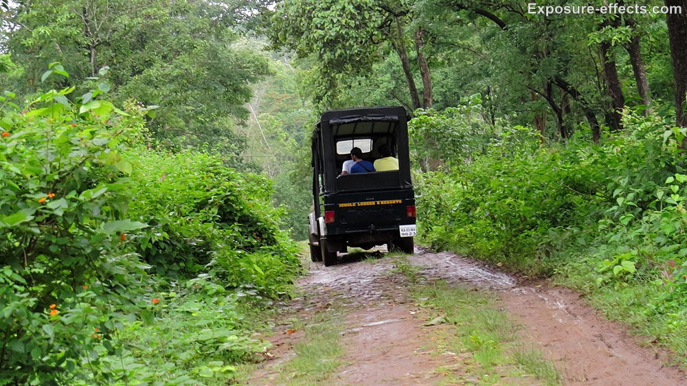 Jeep safari at dubare elephant camp jungle lodges