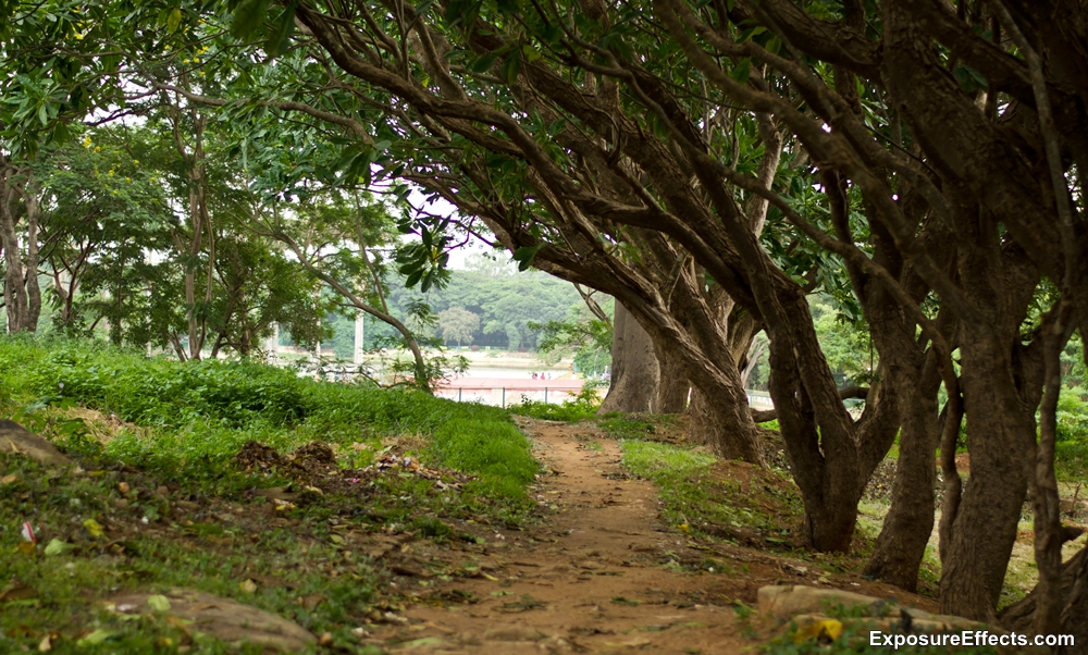 Lalbagh Botanical Garden pics Bangalore