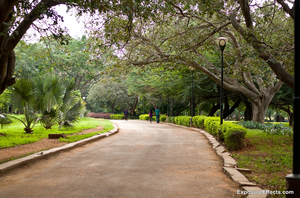 Pictures of Lalbagh Botanical Garden Bangalore