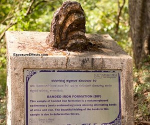 Rocks Displayed At Syntheri Rock – Dandeli, Karnataka