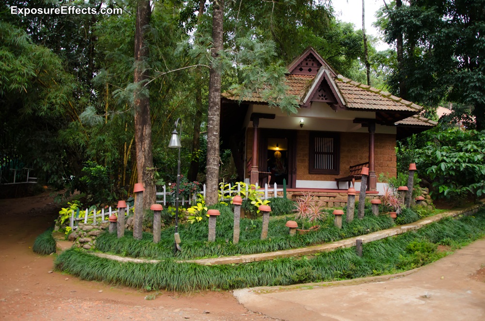 Misty Woods Coorg Resorts Karnataka India - Reception Area