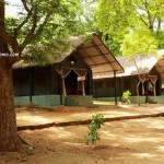 Galibore Nature Camp at Jungle Lodges