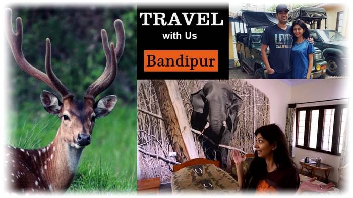 Bandipur Safari Lodge