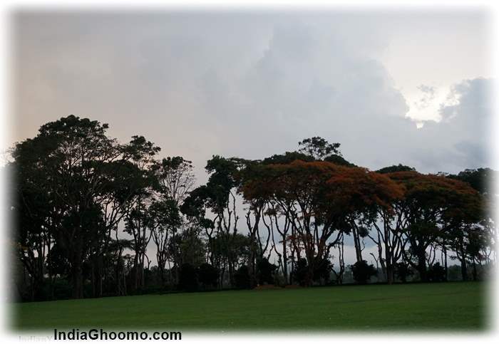 Tata Plantation-Trails Coorg review