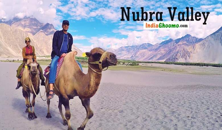 Nubra Valley Camel Ride