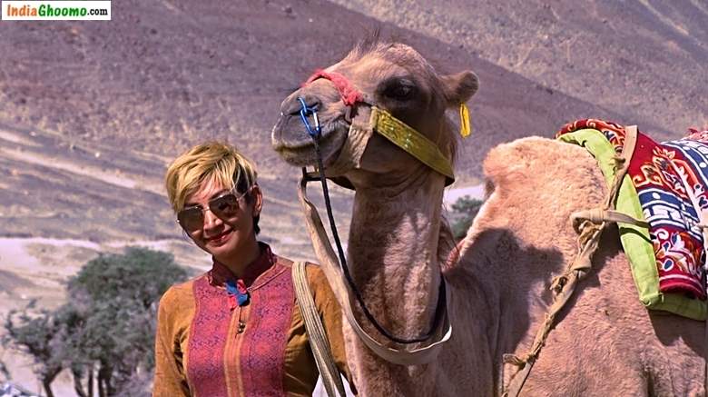 Ladakh Camel Safari - Hunder