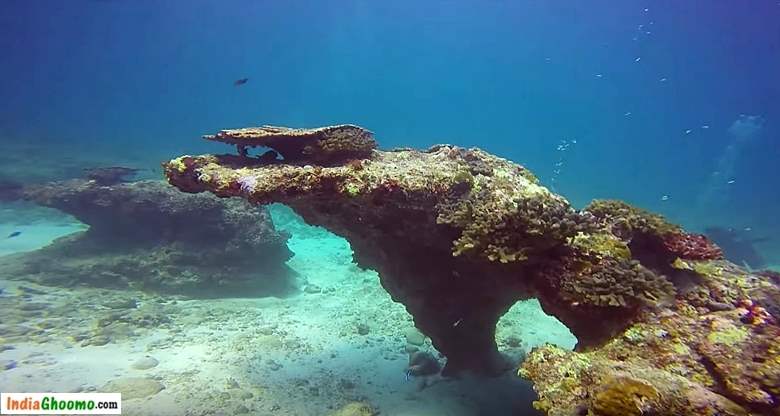 Lakshadweep Coral Island Bangaram