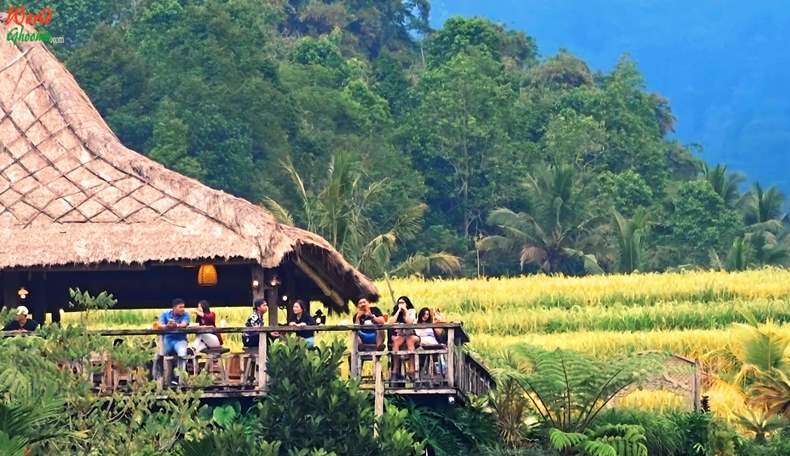 Bali Jatiluwih Rice Terraces Hotels