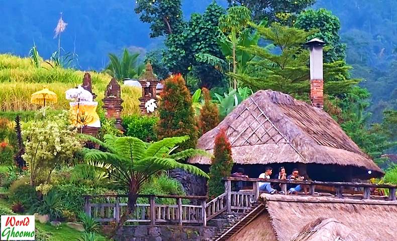 Bali Jatiluwih Rice Terraces Restaurants