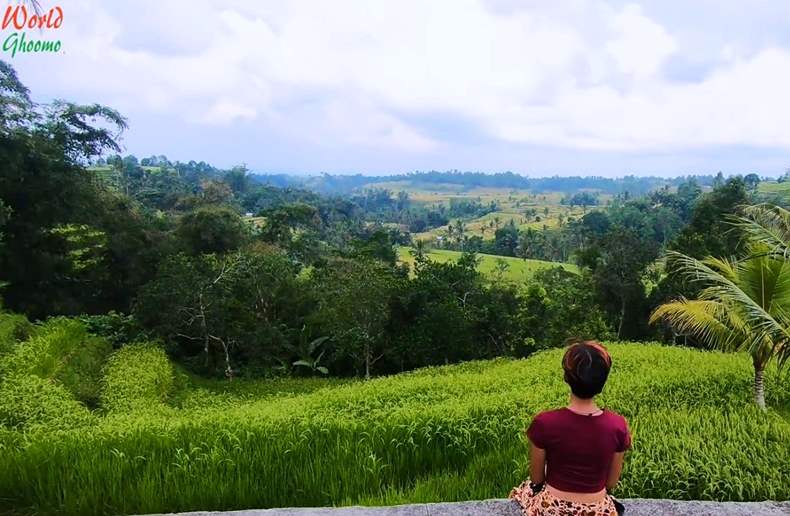 Bali Jatiluwih Rice Terraces view