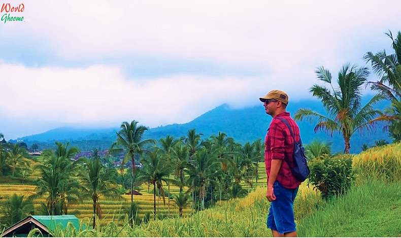 Bali Rice Terraces views