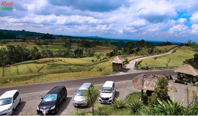 How to rach Jatiluwih Rice Terraces BALI