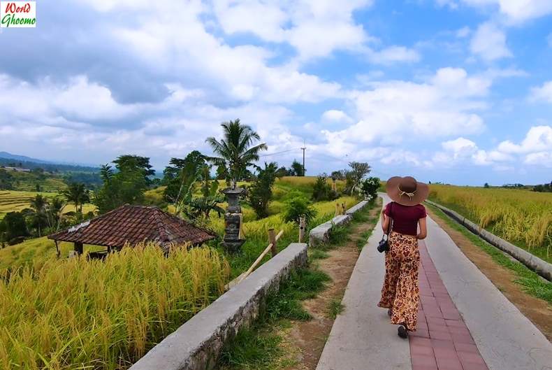 Jatiluwih Rice Terraces BALI