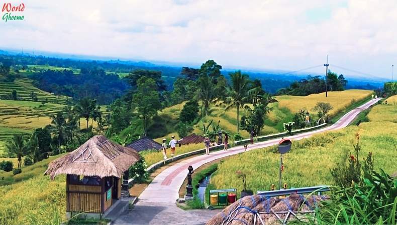 Jatiluwih Rice Terraces Bali Trekking