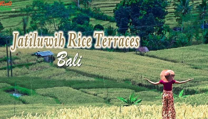 Jatiluwih Rice Terraces Bali Unesco