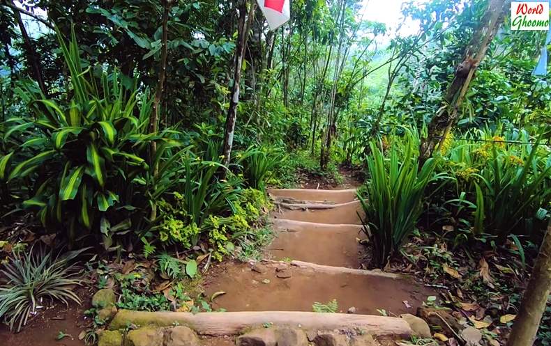 Pathway Towards Banyumala Waterfall