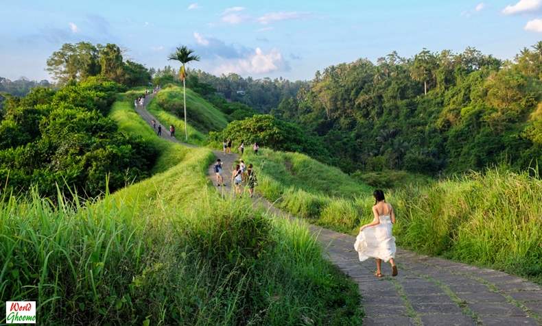 Campuhan Ridge Walk Ubud Bali