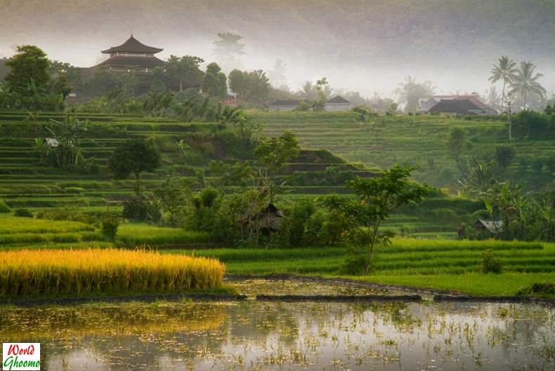 Sidemen Village Bali