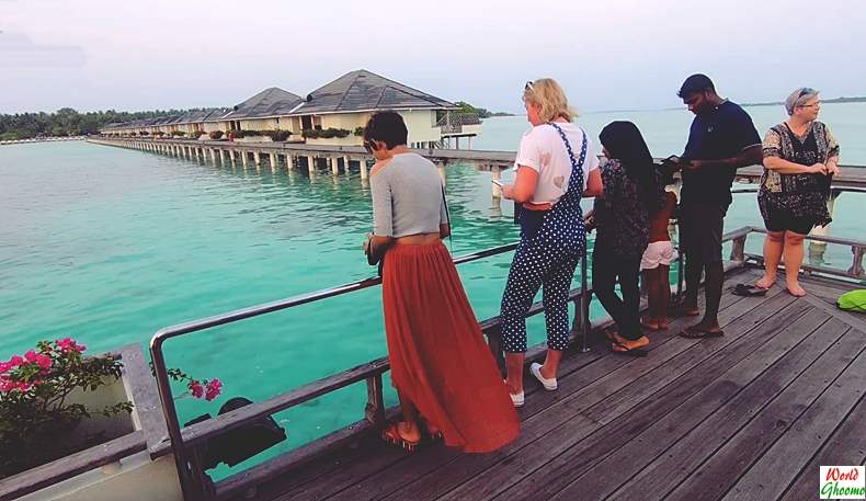 Maldives Shark Feeding Sun Island resort