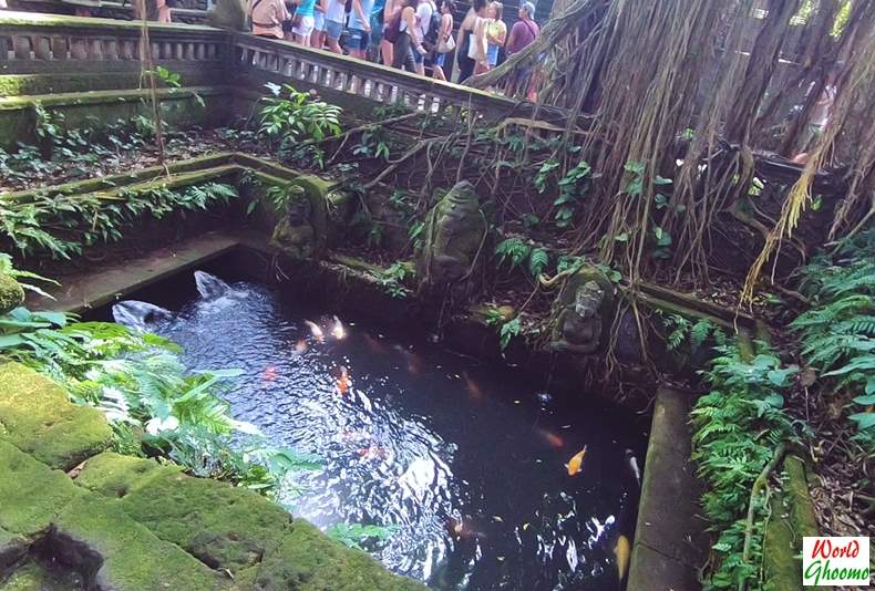 Ponds inside Ubud Monkey Forest