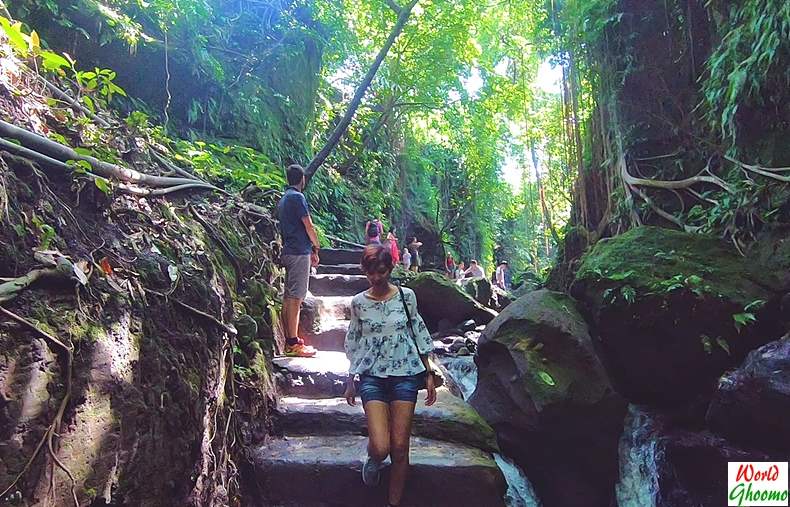 Stream inside Ubud Monkey Forest