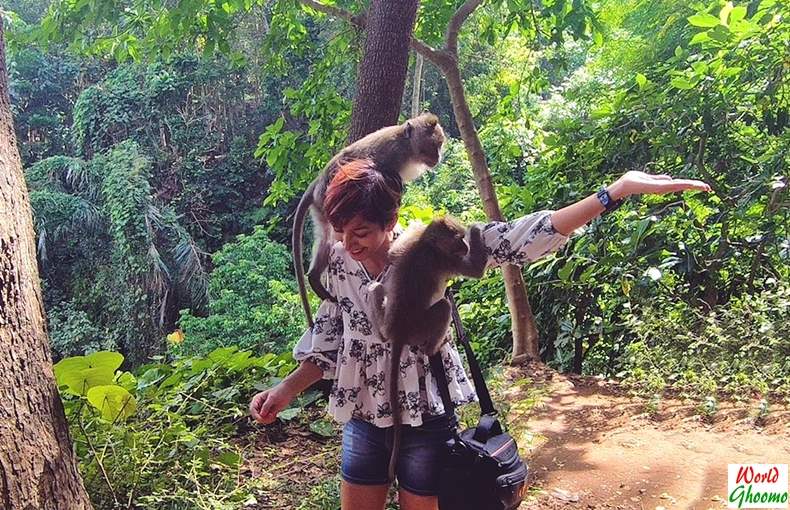 Ubud Monkey Forest Bali Adventure