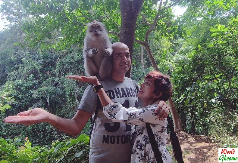 Ubud Monkey Forest Bali