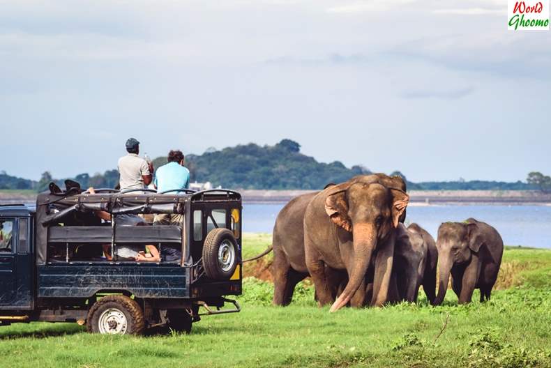 sri lanka tourism