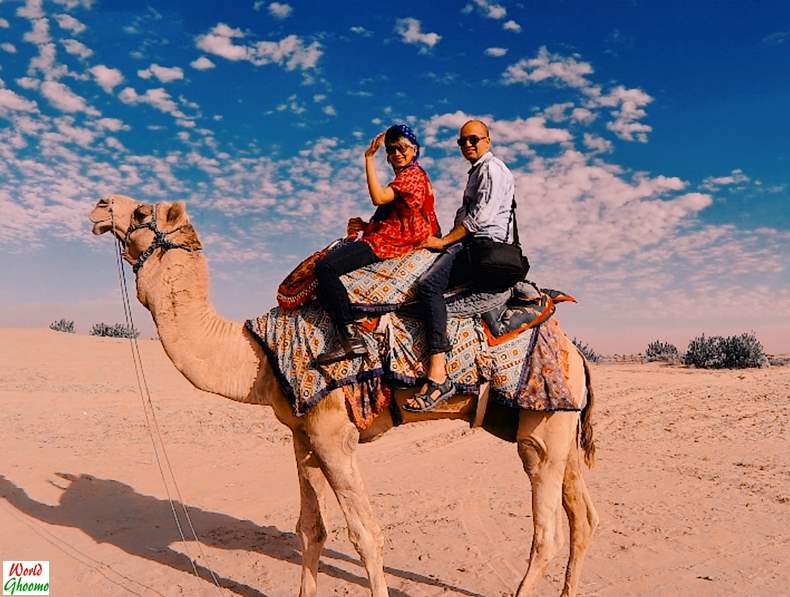 Rajasthan Experiences Camel Ride