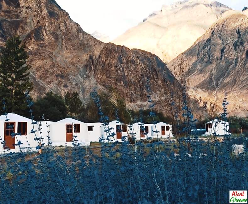 Nubra Valley Accommodation